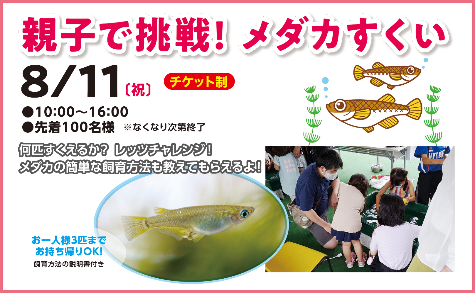 22年8月11日 祝 親子で挑戦 メダカすくい 水戸赤塚住宅公園 特設ページ