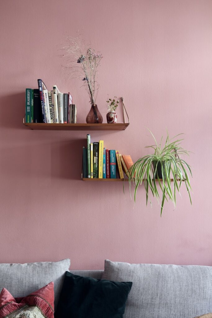 green plant on brown wooden shelf